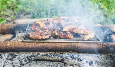 Meat on outdoor coal barbecue grill, close-up
