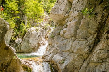 Yunanistan 'ın Litochoro kasabası yakınlarındaki Olimpos Dağı' nda 