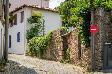 Yunanistan 'ın Olimpos Dağı' ndaki Enipeas Nehri Kanyonu 'nun altındaki Litohoro köyündeki evler.