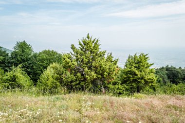 Panoramic view of Mount Olympus from the lookout point above Stavros in Greece. clipart