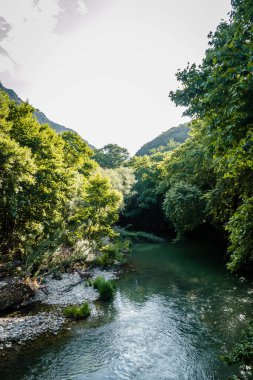 Yunanistan 'ın Tembi vadisindeki Pinios Nehri manzarası.