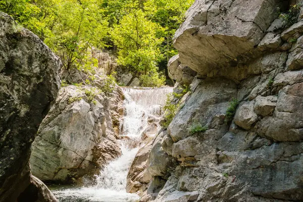 Yunanistan 'ın Litochoro kasabası yakınlarındaki Olimpos Dağı' nda 