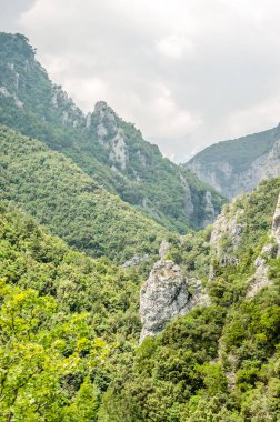 Yunanistan 'ın Litochoro köyü yakınlarındaki Olimpos Dağı' nda Enipez Nehri Kanyonu.