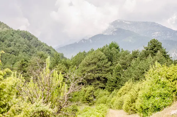 Yunanistan 'ın Stavros kentindeki gözcü noktasından Olimpos Dağı' nın panoramik manzarası.