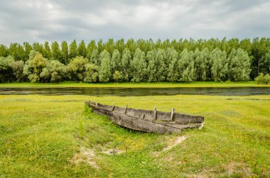 Unutulmuş, harap olmuş, ahşap balıkçı tekneleri Kovilj yakınlarında, kıyı boyunca demirlemiş..