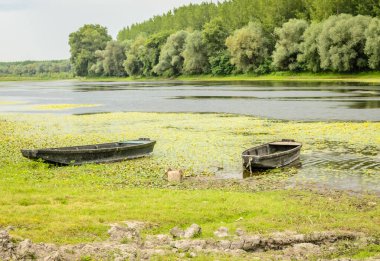 Kovilj yakınlarındaki bir gölde tahta balıkçı tekneleri, kıyı boyunca demirli..