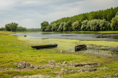 Kovilj yakınlarındaki bir gölde tahta balıkçı tekneleri, kıyı boyunca demirli..