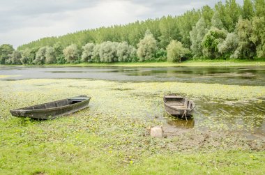 Kovilj yakınlarındaki bir gölde tahta balıkçı tekneleri, kıyı boyunca demirli..