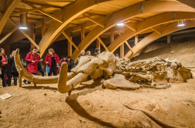 Golubac, Sırbistan - 22 Nisan 2017: sergi-mamut kemiği