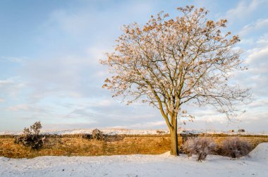 Petrovaradin kalesinin karla kaplı bölümlerinin panoramik görüntüsü.