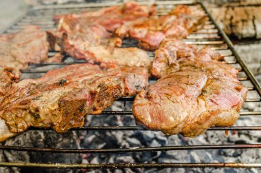 Meat for food - pork tenderloin on a summer grill with a flame.