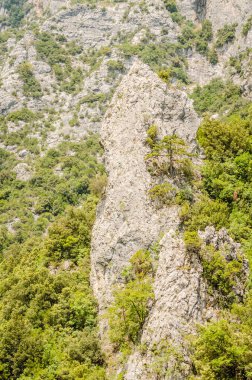 Yunanistan 'ın Litochoro köyü yakınlarındaki Olimpos Dağı' nda Enipez Nehri Kanyonu.