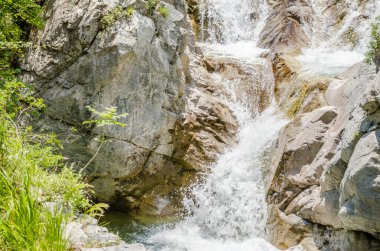 Yunanistan 'ın Litochoro kasabası yakınlarındaki Olimpos Dağı' nda 