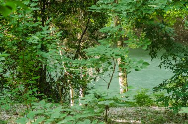 Yunanistan 'ın Tembi vadisindeki Pinios Nehri manzarası.