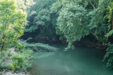 Yunanistan 'ın Tembi vadisindeki Pinios Nehri manzarası.