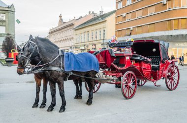 Novi Sad, Serbia - December 13. 2019: Downtown Novi Sad. Two horses harnessed in red carriages