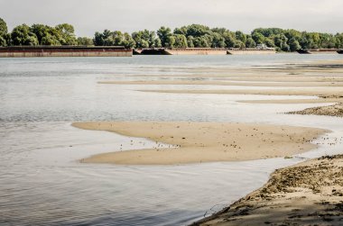 Tuna Nehri 'nin kumlu kıyısı, Petrovaradin, Novi Sad, Sırbistan. Tuna 'nın kumlu kıyılarının manzarası,