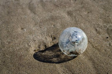 Tuna nehrinin kıyısına kum sürülmüş, atılmış bir cam ampul..