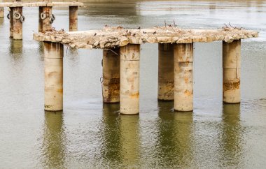 Eski köprünün sütunları Tuna 'nın sularına bakıyor..