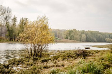 Tahta tekne gölün kıyısına demirlemiş..