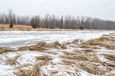 Kış mevsiminde karla kaplı, korunan doğanın panoramik görüntüsü..