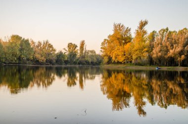 Begec, Sırbistan - 30 Ekim. 2021: Novi Sad kenti yakınlarındaki Begecka jamasında sonbahar manzarası.