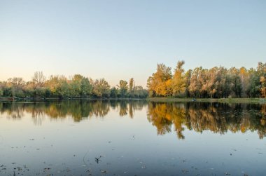 Begec, Sırbistan - 30 Ekim. 2021: Novi Sad kenti yakınlarındaki Begecka jamasında sonbahar manzarası.