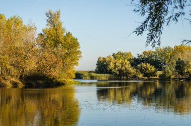 Begec, Sırbistan - 30 Ekim. 2021: Novi Sad kenti yakınlarındaki Begecka jamasında sonbahar manzarası.