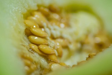 Pulp of a melon. Internal part of a melon - her heart. an interlacing of fibres, seeds and pulp.