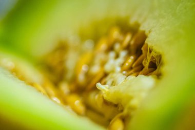 Bir kavun posası. Karpuzun iç kısmı, kalbi. lifler, tohumlar ve posalar birbirine karışır..