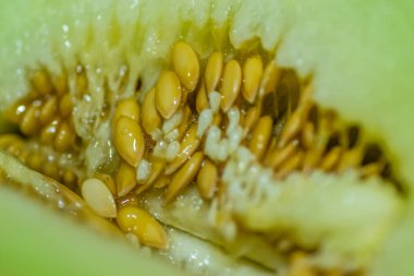 Bir kavun posası. Karpuzun iç kısmı, kalbi. lifler, tohumlar ve posalar birbirine karışır..