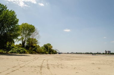 View of the Danube River. Wild beach on the Danube River in Petrovaradin.