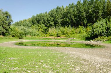 A dried-up pond near the Danube River. A view of a dried-up pond near the Danube River.