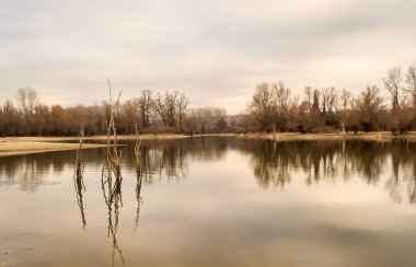Sonbaharda korunan doğa rezervinin panoramik görüntüsü.