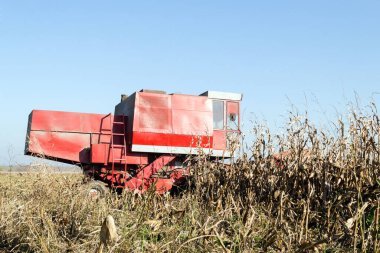 Buğday tarlasını hasat etmek için biçme makinesi.