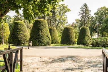Belgrad, Sırbistan - 29 Temmuz 2014: Sırbistan 'ın başkenti Belgrad' daki Kalemegdan Eski Kalesi. Kalemegdan kalesinin önündeki Fransa 'ya şükran anıtı. Kalemegdan 'ın önündeki minnet abidesinin çevresindeki çevre 