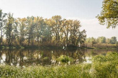 Ulusal Park 'ın panoramik manzarası Sodros. Ulusal Park 'ın panoramik manzarası - Sonbaharda Sodros.
