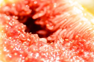A macro shot inside a fig shows the juicy fruit pulp with seeds.