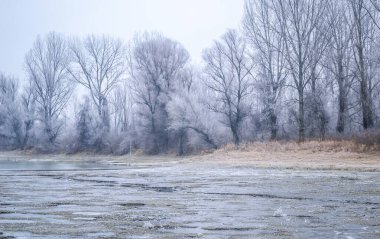 Novi Sad yakınlarındaki Tuna Nehri 'nin donmuş kollarının panoraması.