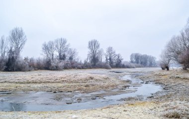 Novi Sad yakınlarındaki Tuna Nehri 'nin donmuş kollarının panoraması.