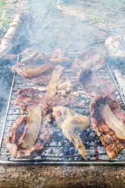 Meat on outdoor coal barbecue grill, close-up