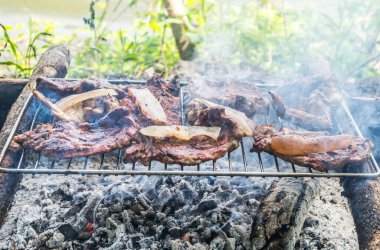 Meat on outdoor coal barbecue grill, close-up