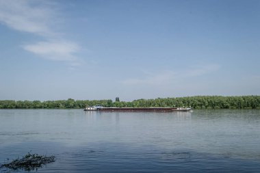 Novi Sad 'daki Tuna Nehri üzerinde hareket eden bir tanker..