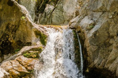 Yunanistan 'ın Litochoro kasabası yakınlarındaki Olimpos Dağı' nda 