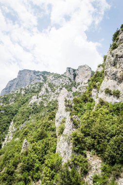 Yunanistan 'ın Litochoro köyü yakınlarındaki Olimpos Dağı' nda Enipez Nehri Kanyonu.