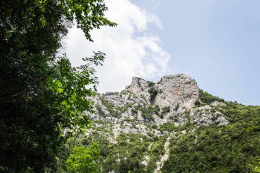 Yunanistan 'ın Litochoro köyü yakınlarındaki Olimpos Dağı' nda Enipez Nehri Kanyonu.
