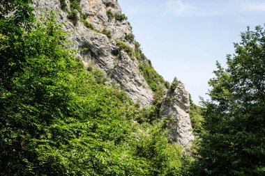 Yunanistan 'ın Litochoro köyü yakınlarındaki Olimpos Dağı' nda Enipez Nehri Kanyonu.