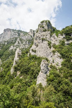 Yunanistan 'ın Litochoro köyü yakınlarındaki Olimpos Dağı' nda Enipez Nehri Kanyonu.