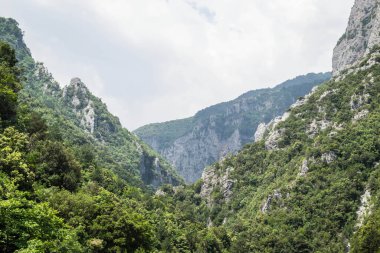 Yunanistan 'ın Litochoro köyü yakınlarındaki Olimpos Dağı' nda Enipez Nehri Kanyonu.