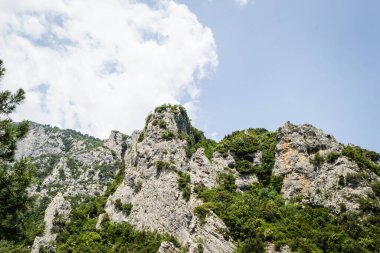 Yunanistan 'ın Litochoro köyü yakınlarındaki Olimpos Dağı' nda Enipez Nehri Kanyonu.